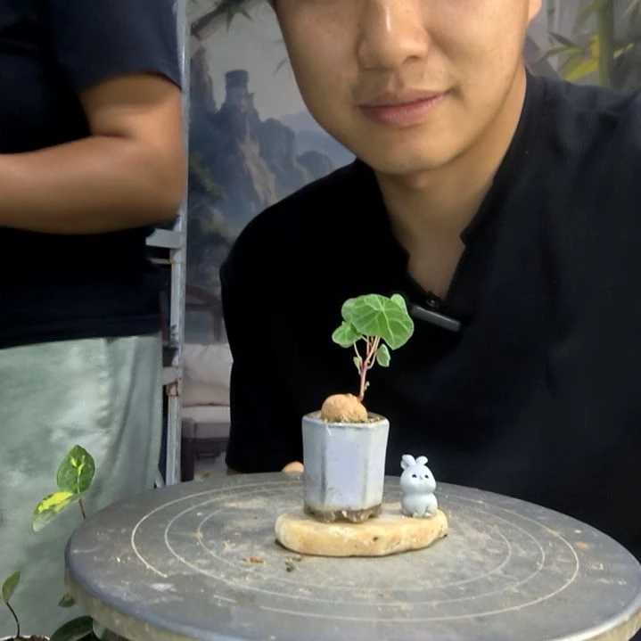 ?**山中青园艺一物一拍184