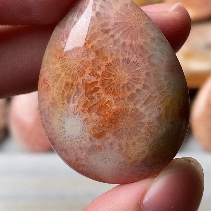 硅化玉未镶嵌颈饰