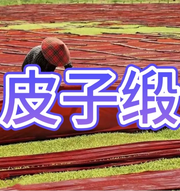 【皮子缎链接】【古香阁】中国风丝绸面料满分真丝香云纱