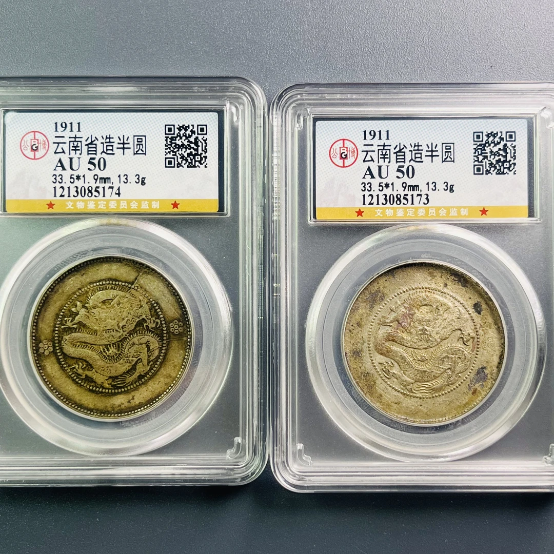 0037-080-清 云南半圆龙两枚 公博-AA