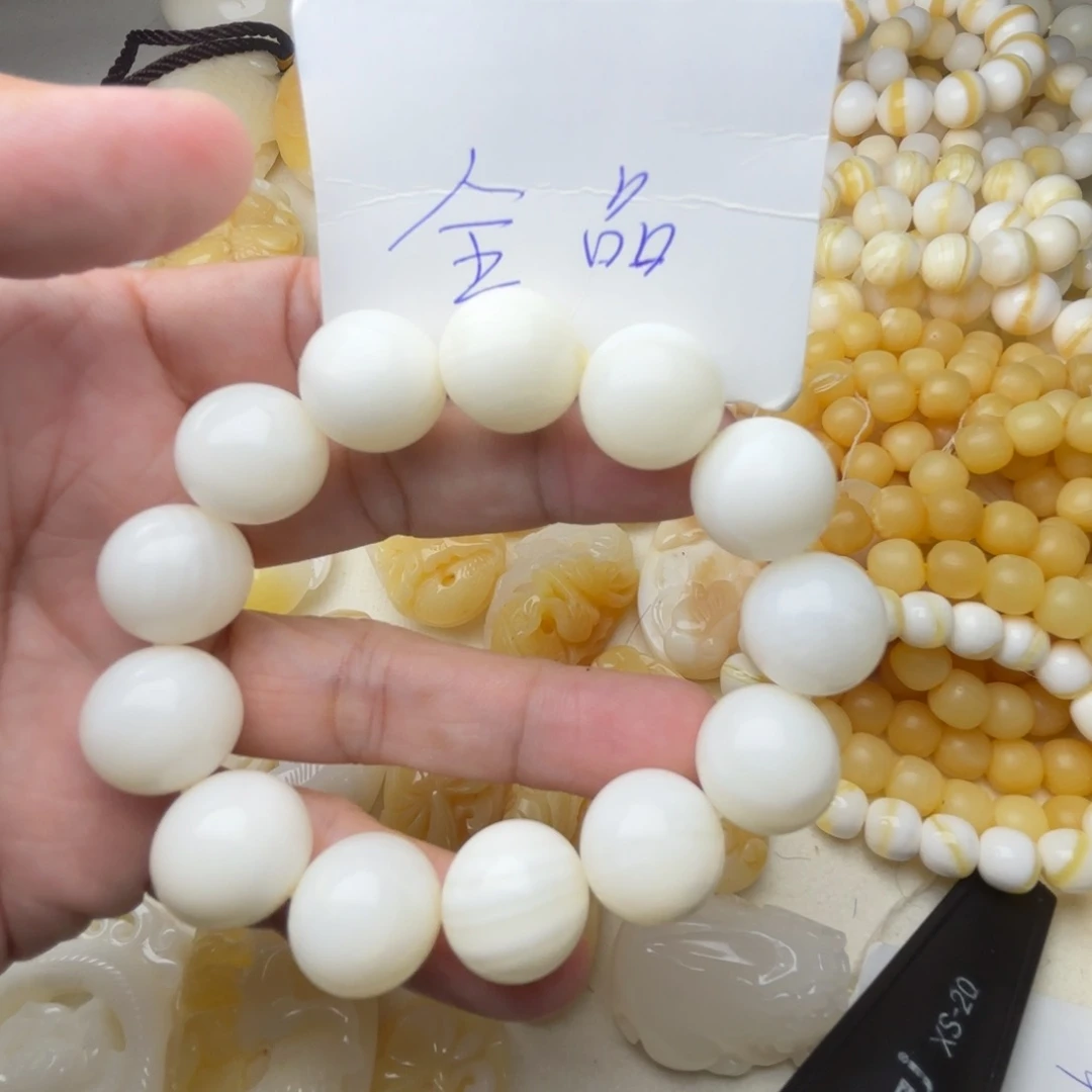 非金属贝壳琴*天然贝壳