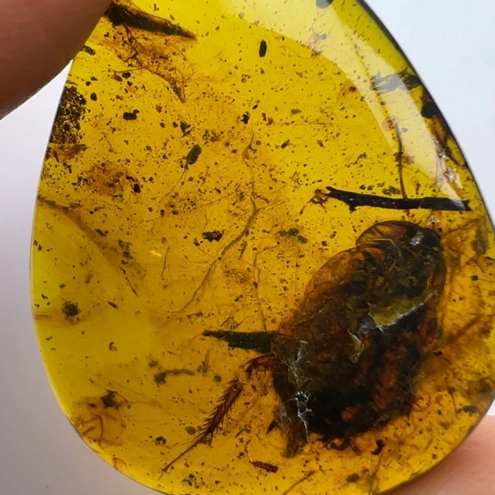 未镶嵌琥珀裸石琥珀虫珀