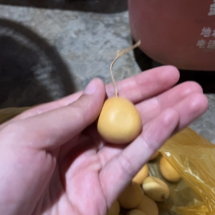 安****大叶紫檀（黑酸枝木类）