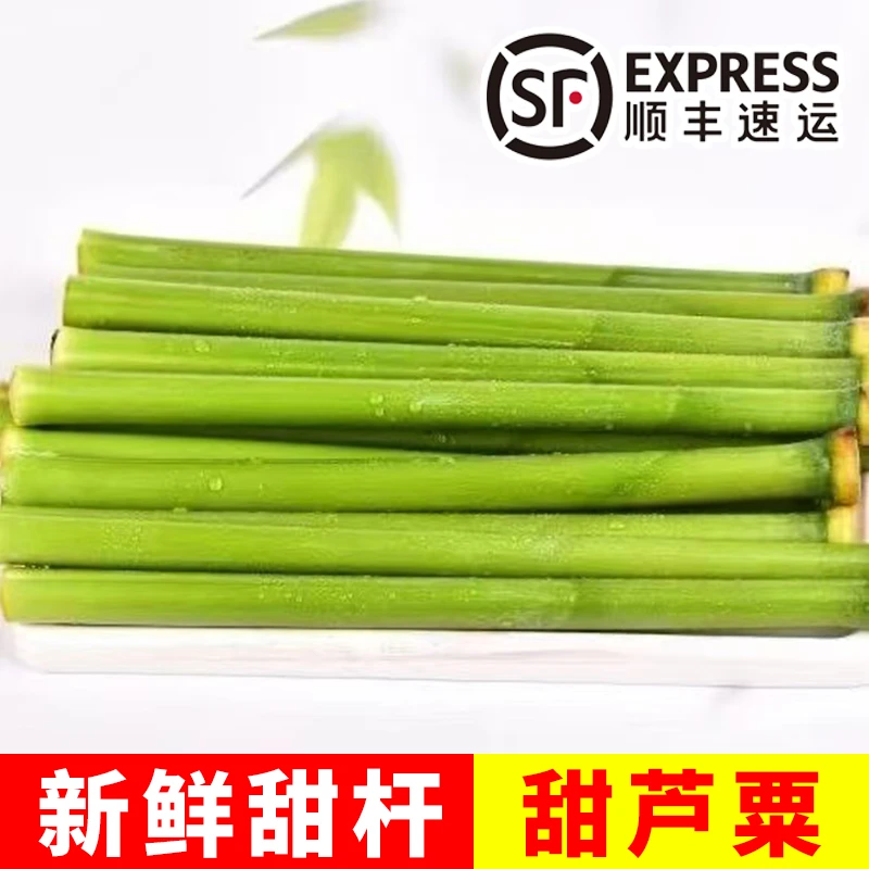 新鲜甜杆 甜棒甜芦粟甜高粱小甘蔗时候的味道童年味道80 90后2斤