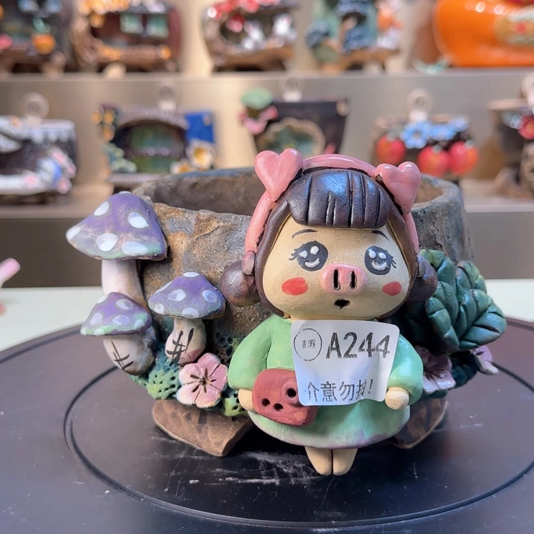 A244 【闪购】多肉花盆