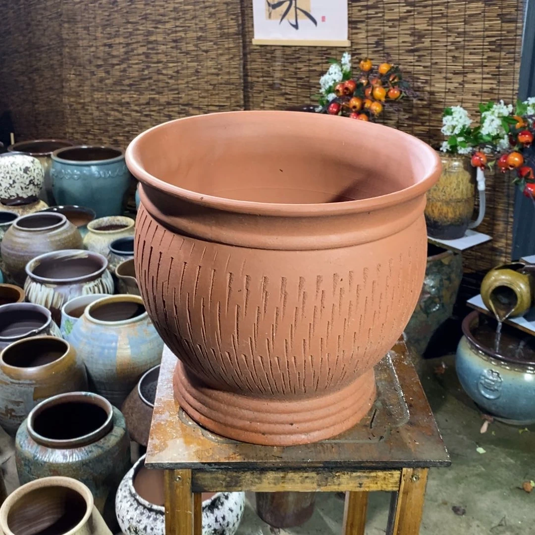 口31高29～～～～～～～～～