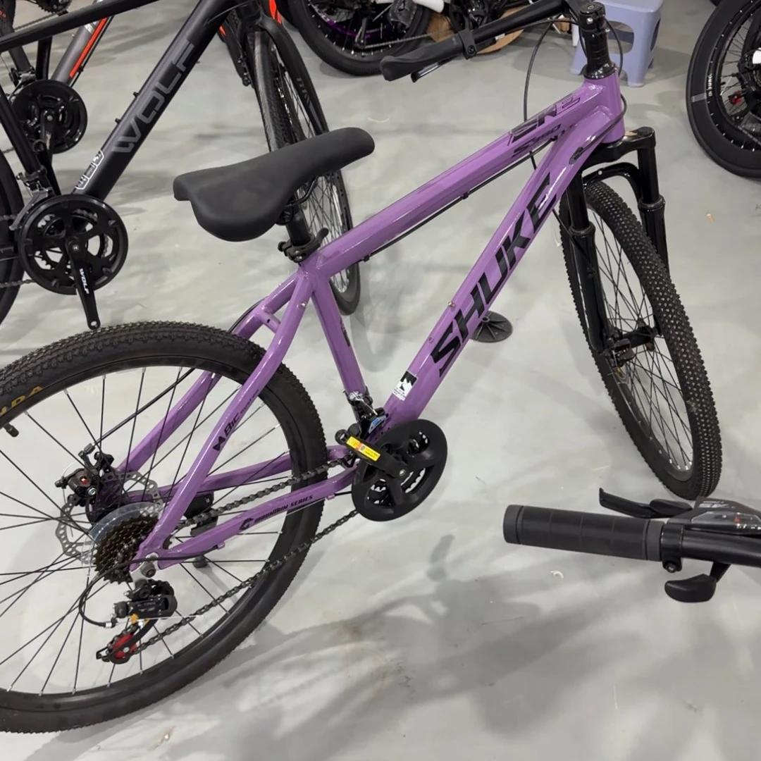 特***糖山地车灰色24寸24速