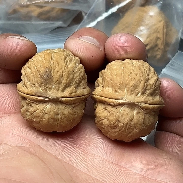 核桃1号提溜圆35尺