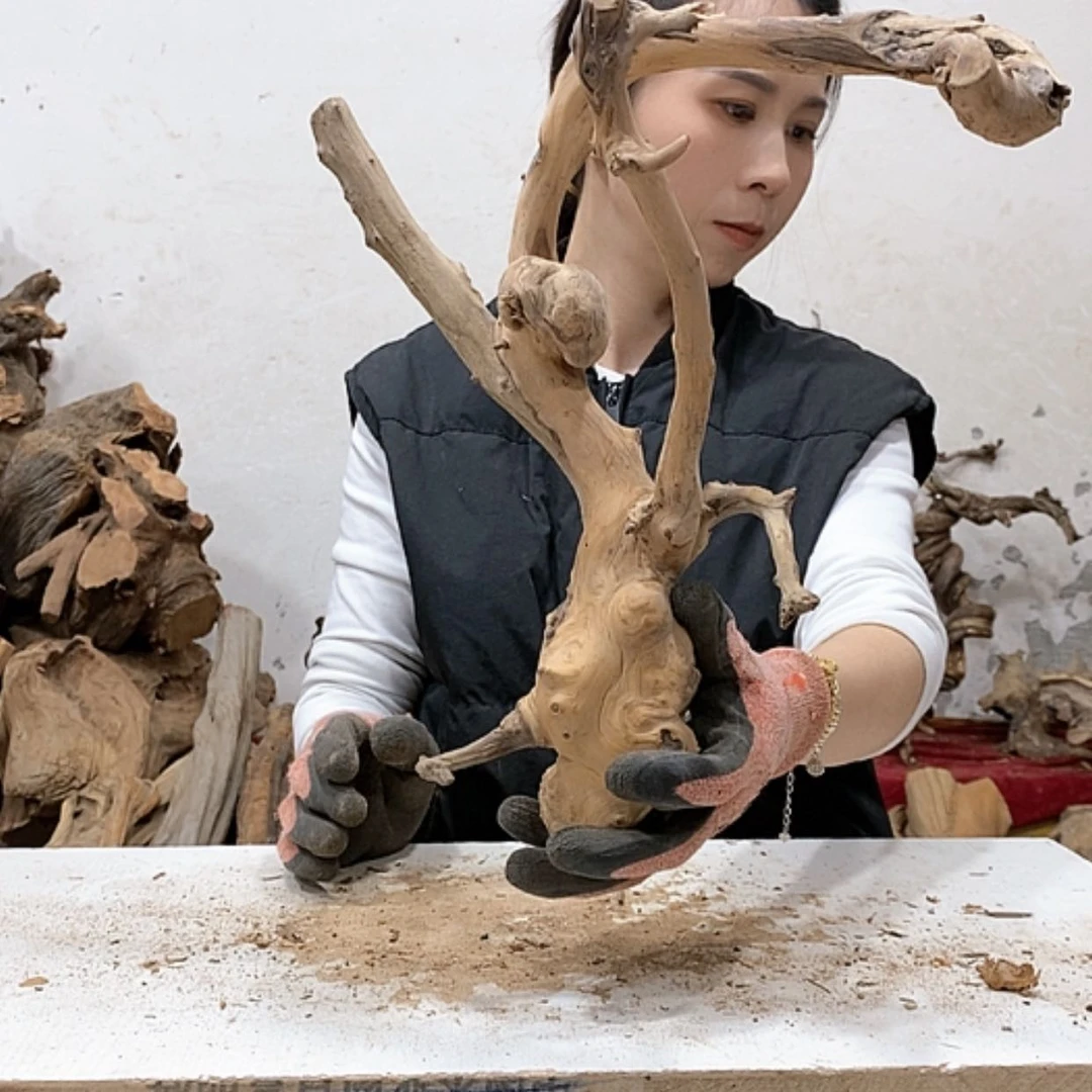 【闪购商品】柏木珍**木我们都是好孩子