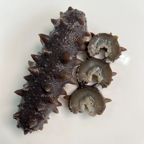 鲜食海参(赠品)