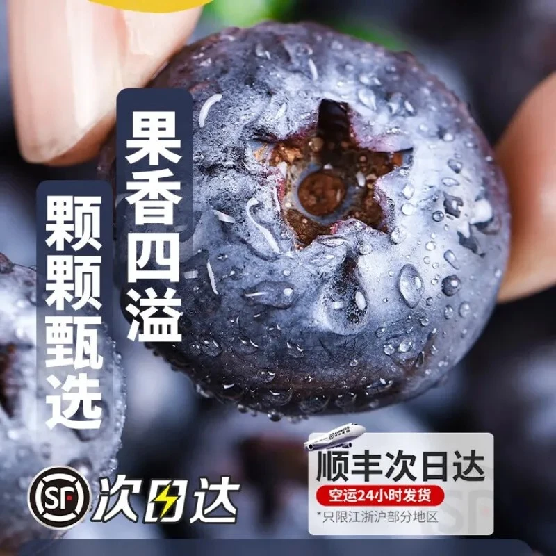 （大唛）云南澄江抚仙湖甜脆可口露天种植蓝莓果园现摘现发顺丰包邮