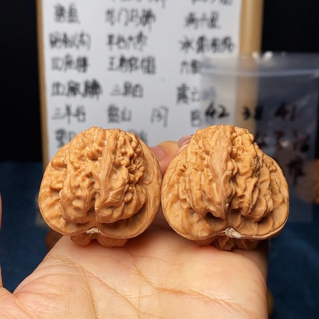 手串文玩核桃龟甲大蟾王