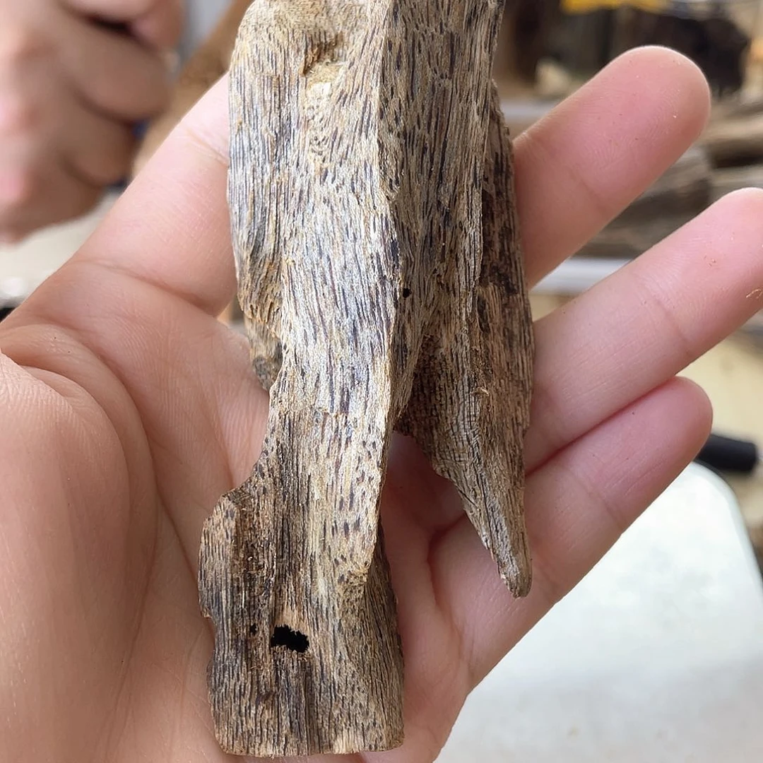 木绿奇楠原材料虫漏17克