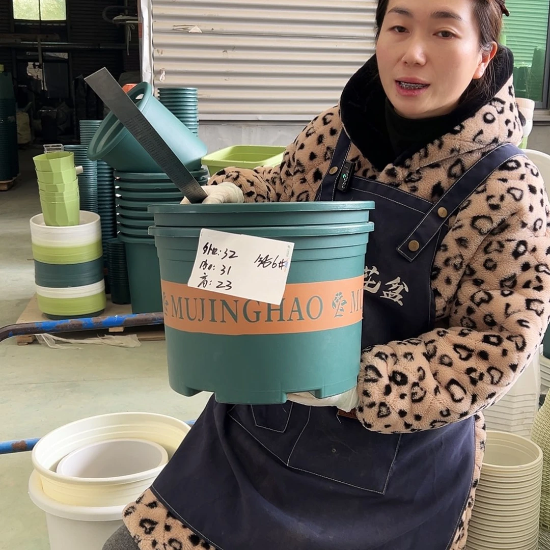 矮胖6#墨绿5个无托