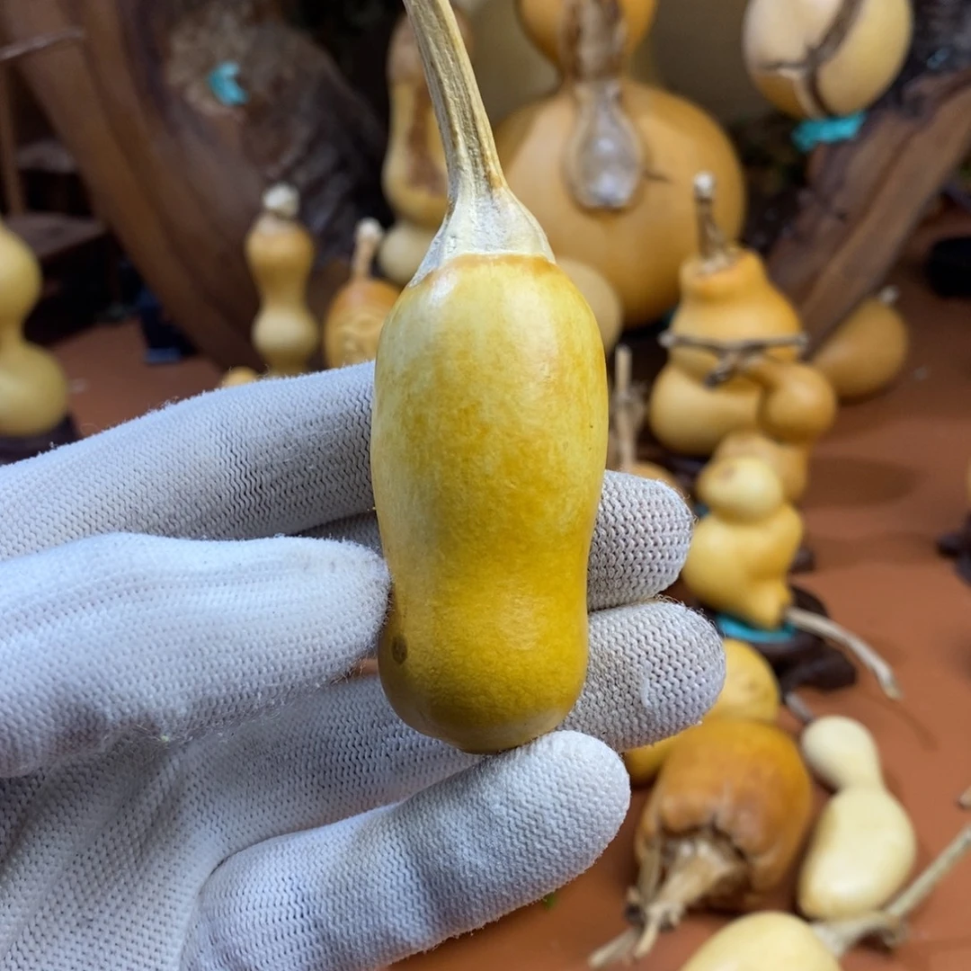 璞***緣教练教练教练监控