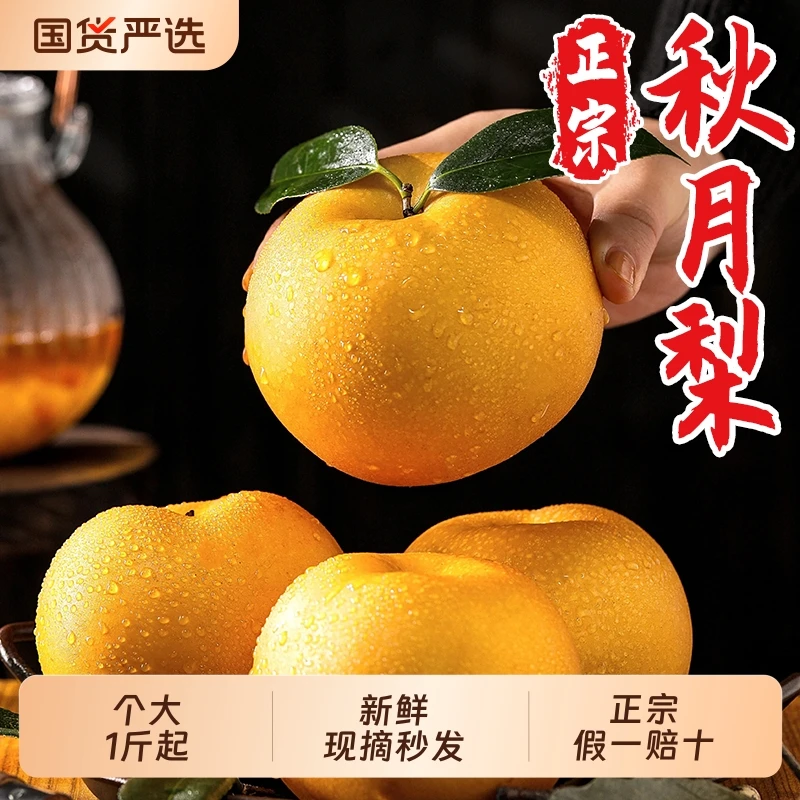 【5A级出口级别】秋月梨烟台莱阳西正宗秋月梨冰糖雪梨榨汁专用同款