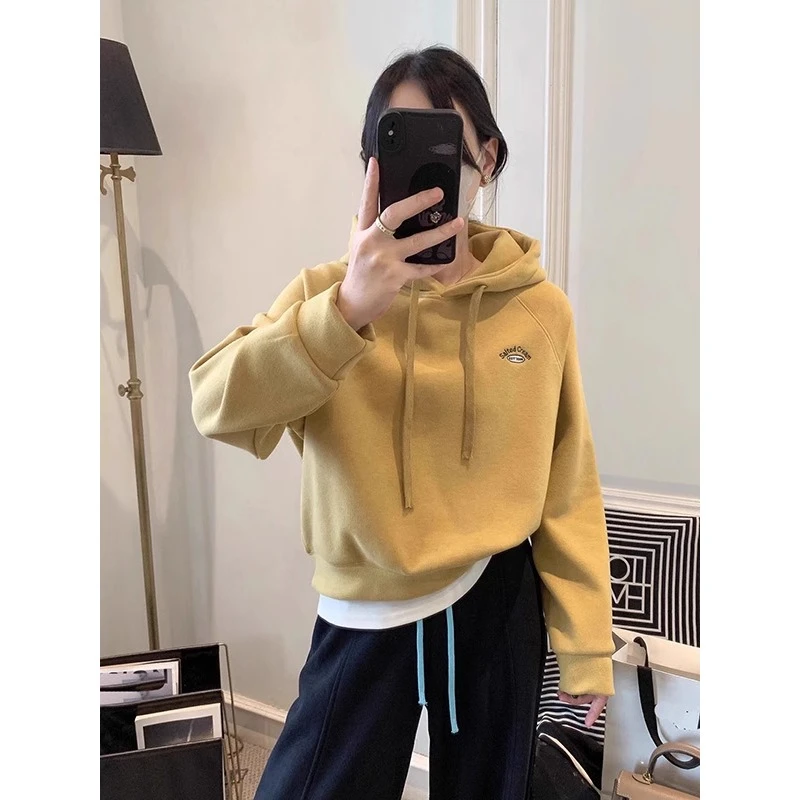 短款连帽卫衣女2025秋冬新款加绒加厚刺绣长立复韩版oversize卫衣