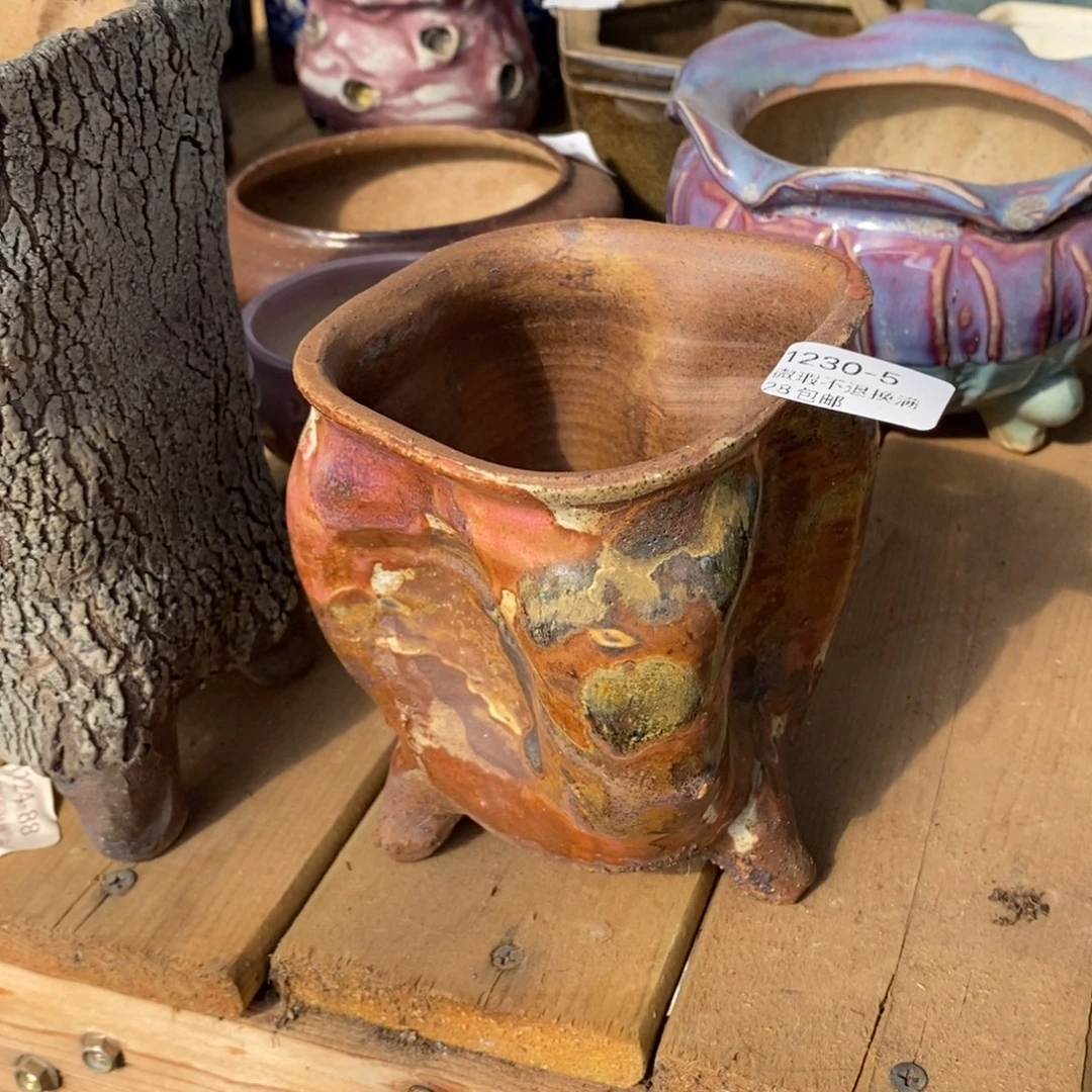 5号多肉盆口径9高12