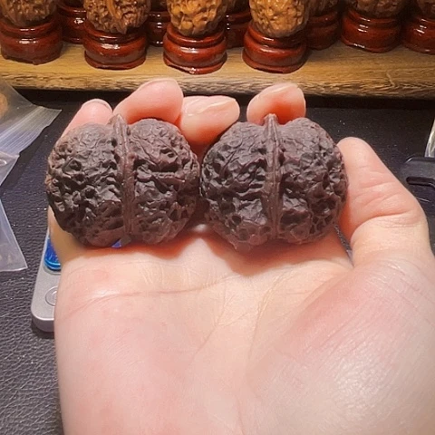 文玩核桃把件黑山老蟾黑蛋41