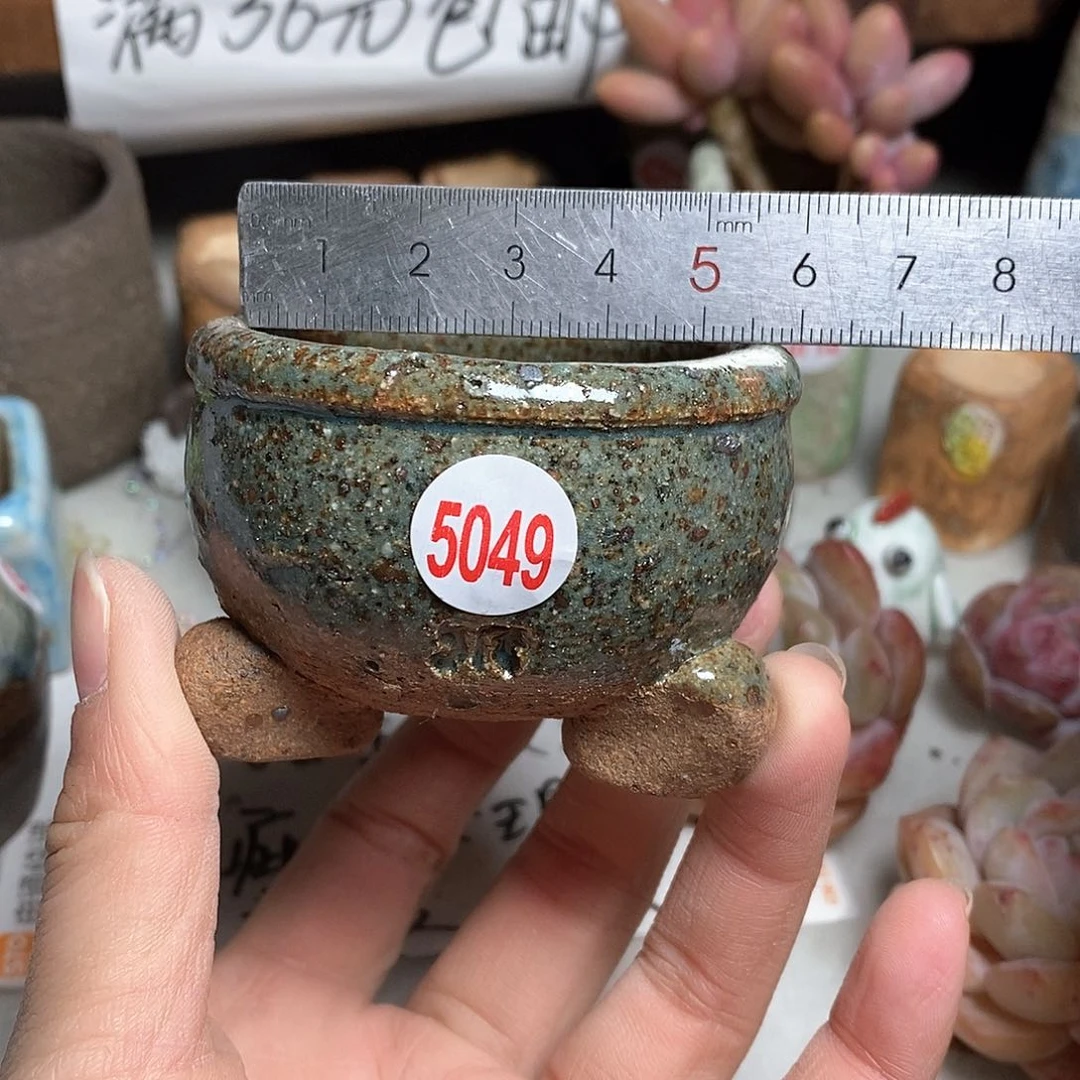 红陶拍5送一个小