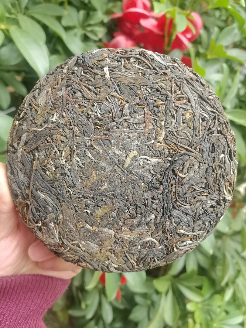 【福利专场】腾冲眼镜姐藤条古树生茶饼-2021