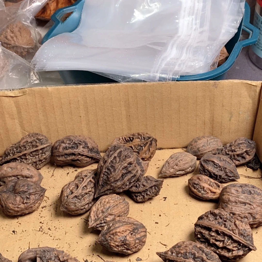 文玩核桃吊坠核桃50