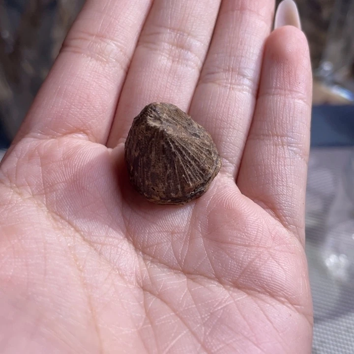 沉香越南沉水老料2.7克