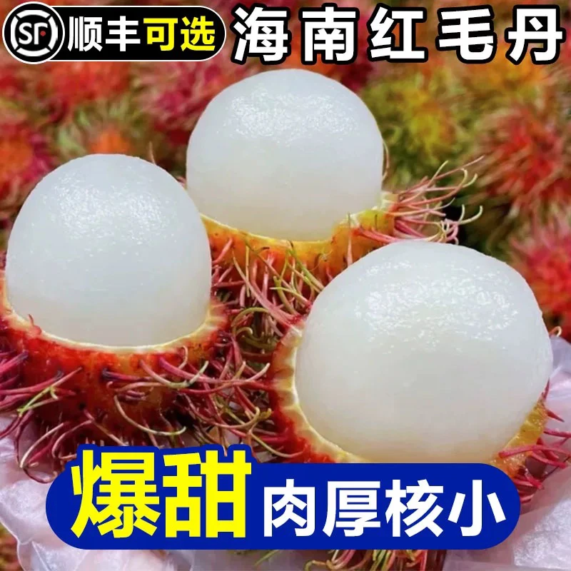 顺丰包邮当季海南红毛丹毛荔枝新鲜应季水果鲜甜可口鲜荔枝大果