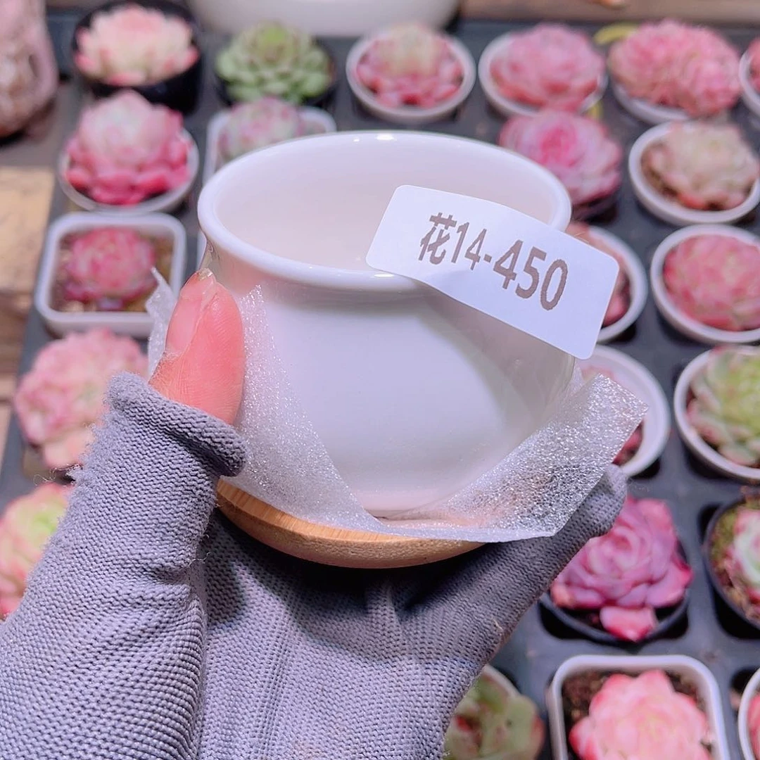 花14-450花盆一个