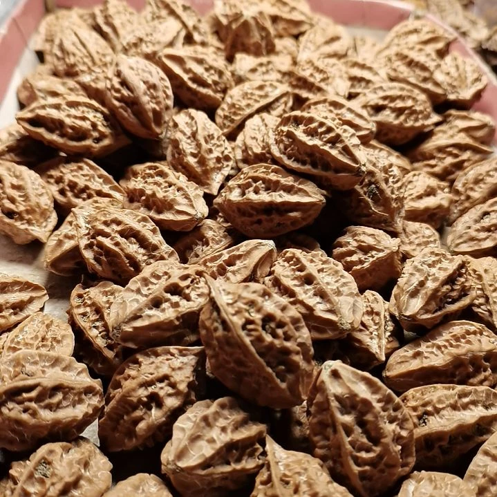 文玩核桃手串老*东北秋子异型21