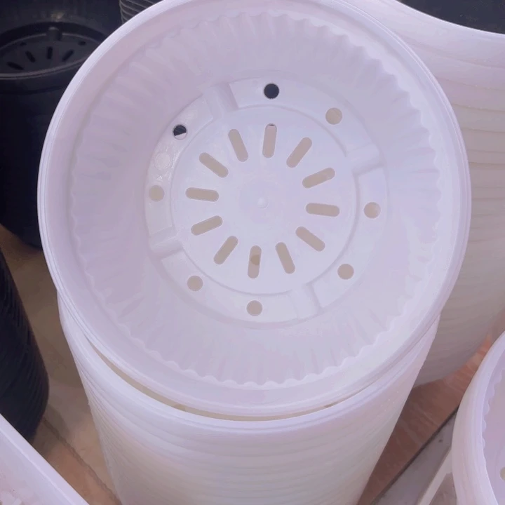 20公分白色聚宝盆一组12个