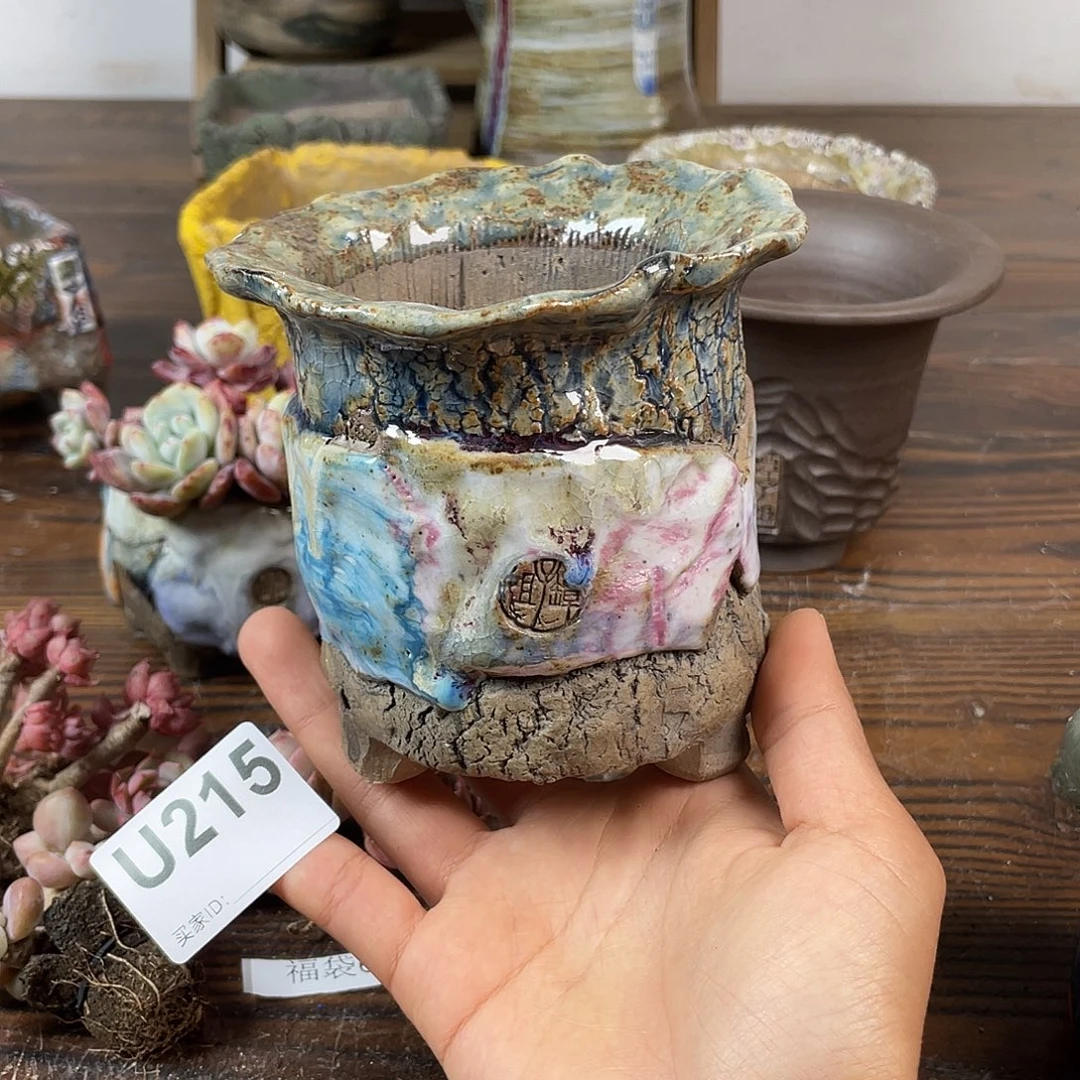 默认微次   跨年福利 坛子姐花盆