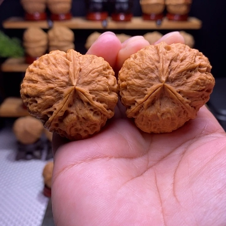 木质类云铁凹江龙三棱28号