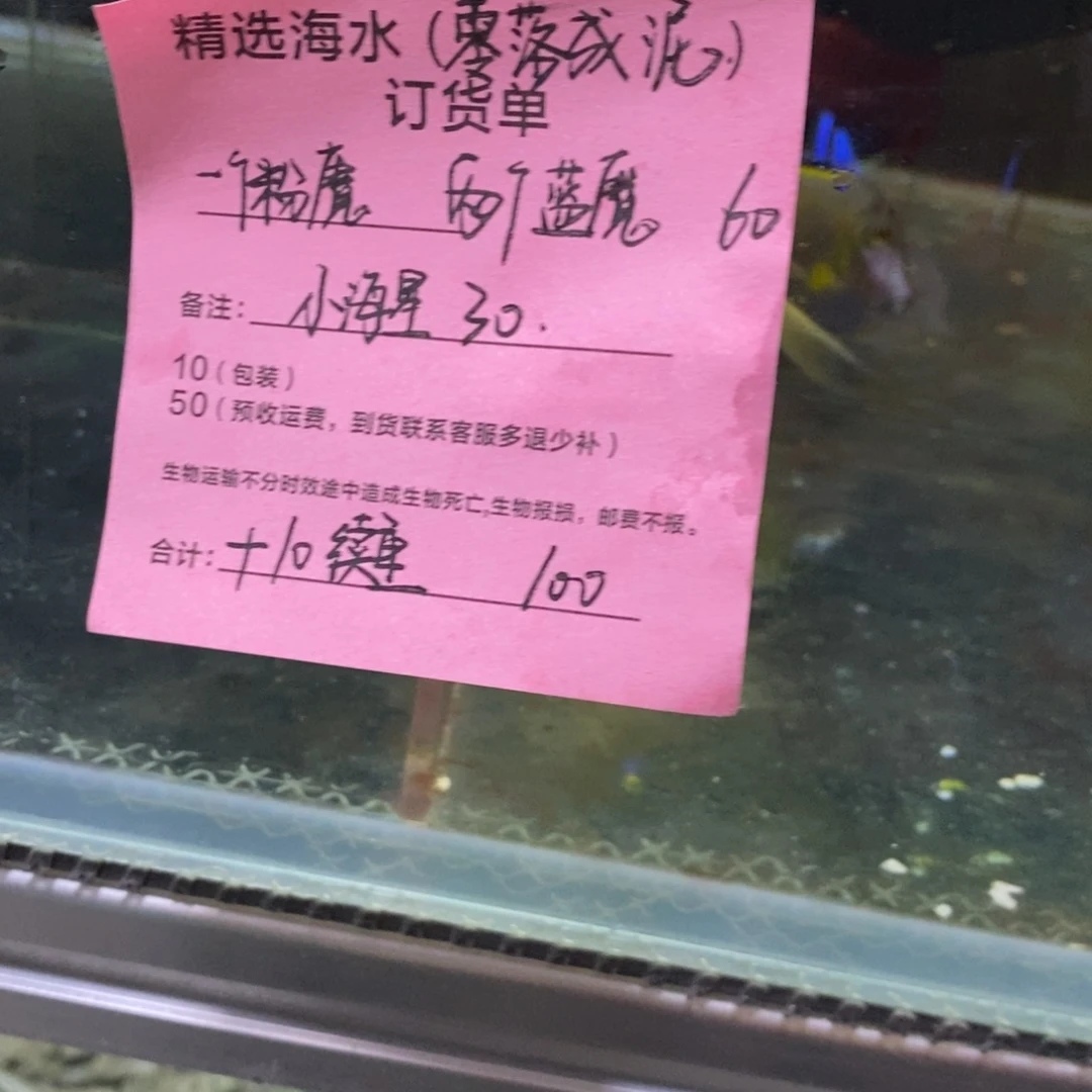 海水鱼一个粉魔两个蓝魔➕小海星➕10续重