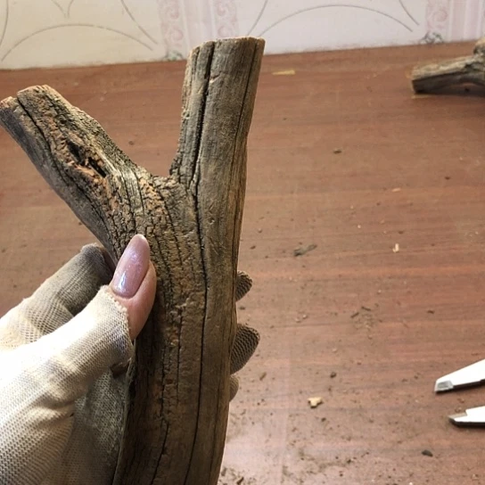 大果紫檀（缅甸花梨）灵*