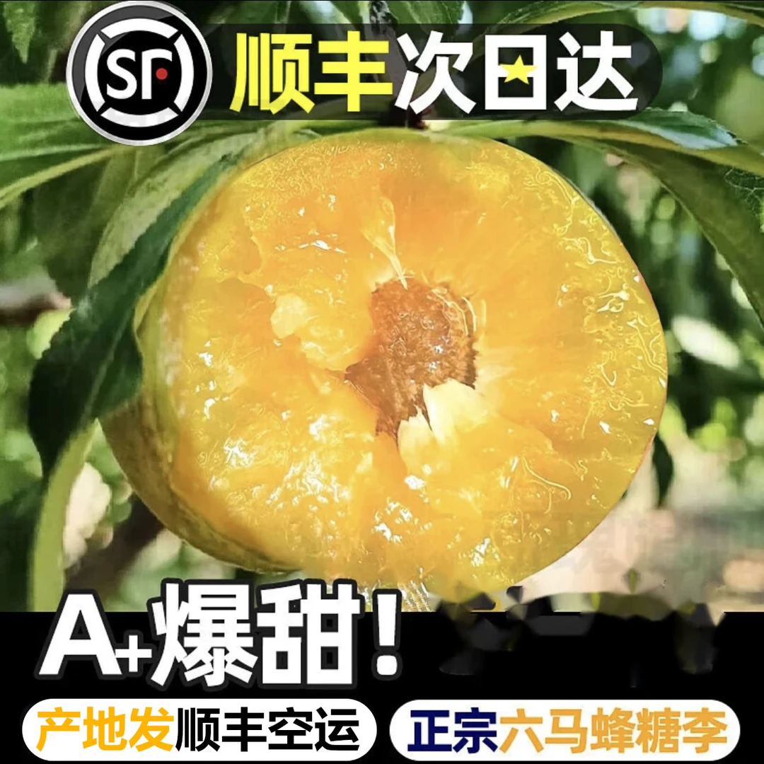 贵州六马蜂糖李李子果王礼盒装李子同城送贵州省