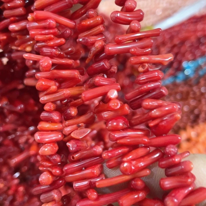 贝壳非金属一条三姑娘精品苗苗