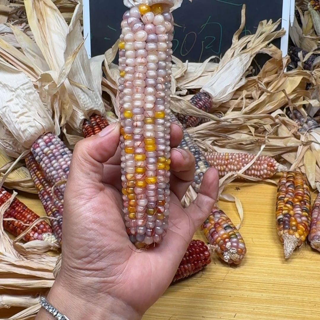 梨****柏香籽/百香籽吊坠