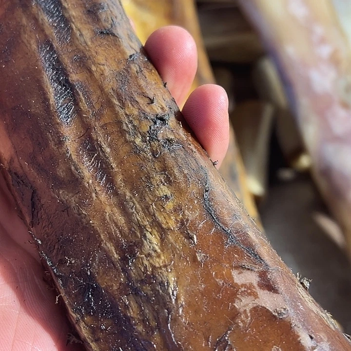 用****5ZXhu大骨头棒子大骨头棒子