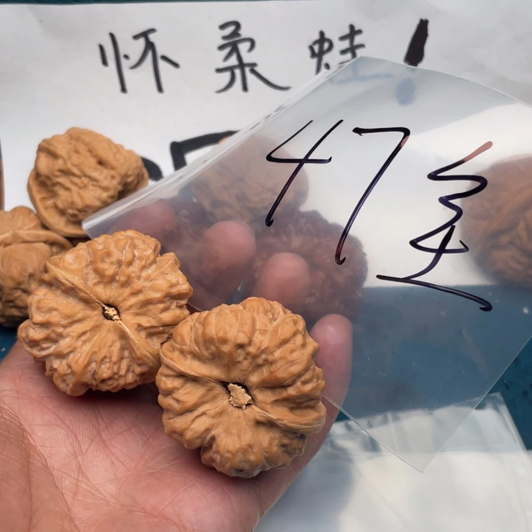 核桃573753357357537753