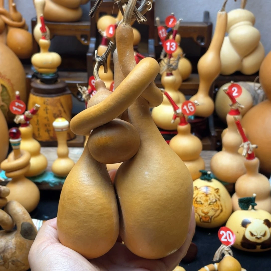 A****I大自然的秘密第十一节你是谁