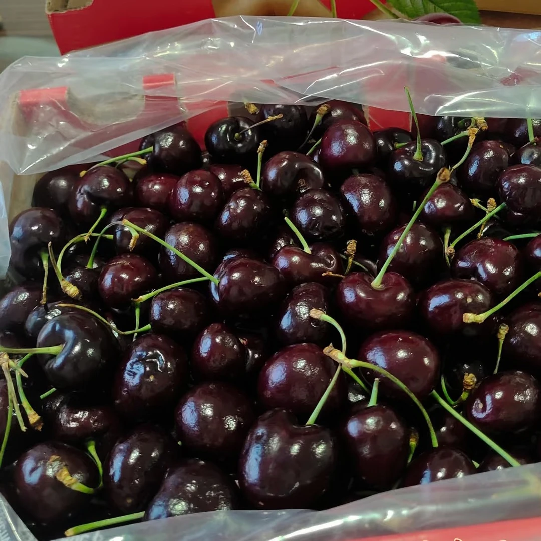 佳沃3JD黑车车厘子一箱五斤