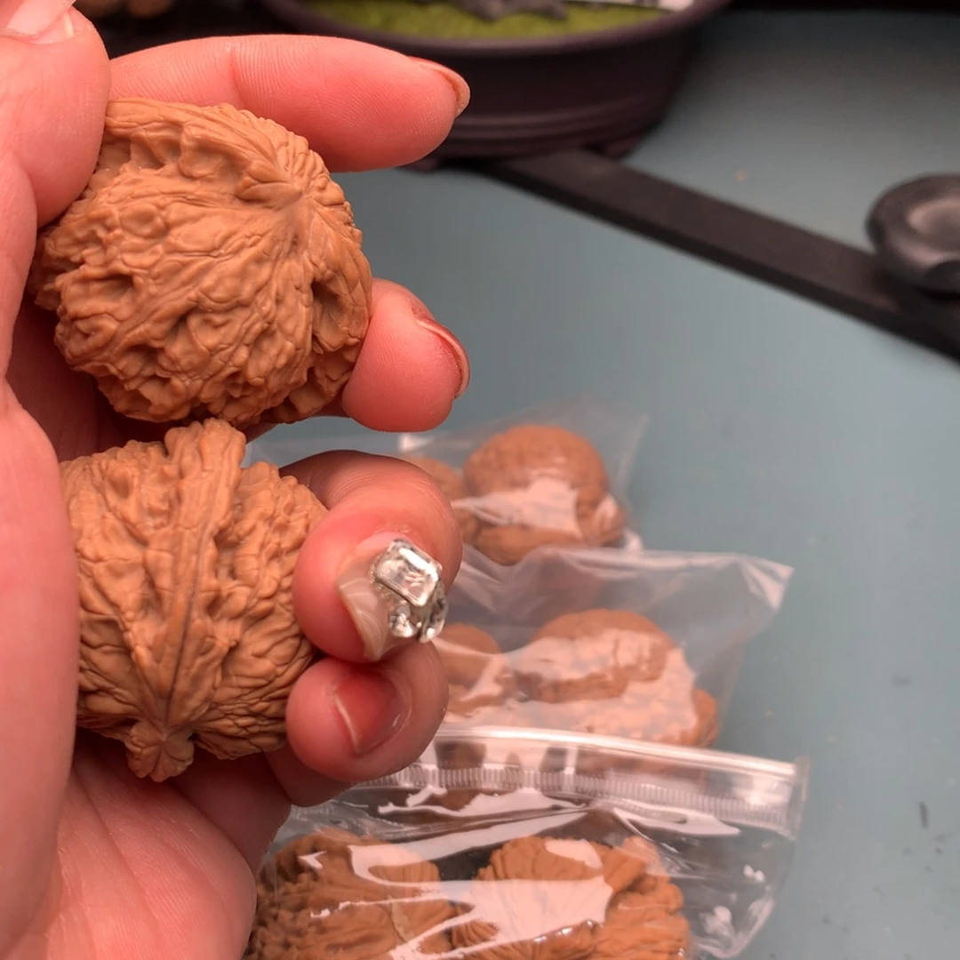 文玩核桃把件全品白狮子4445