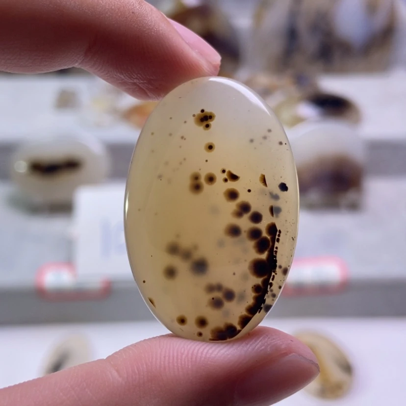 【闪购商品】未镶嵌玛瑙/玉髓珠宝奇石