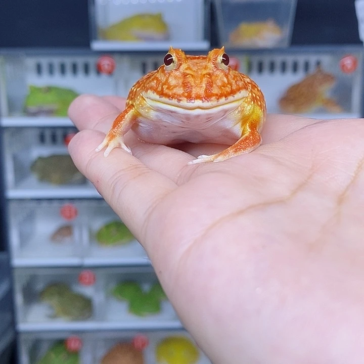 特价秒杀现货特价