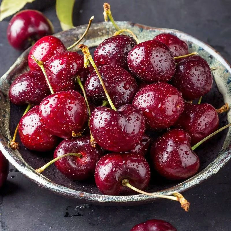 AB1【3JD果王】【未拆封未拆袋】智利进口海运车厘子内附果径卡 进口原箱5斤 【包装随机】拉宾斯樱桃智利共和国