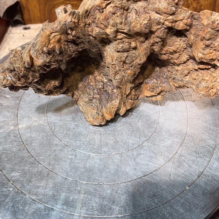 古***哥香榧木非洲木木木木