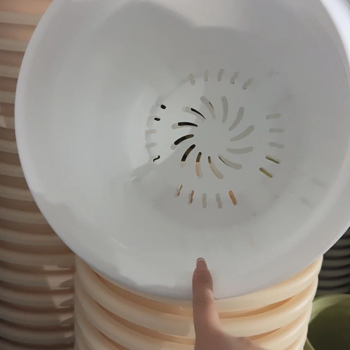 四季6号纯白无托7个特价微瑕