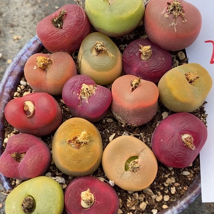 2276一组一组一组