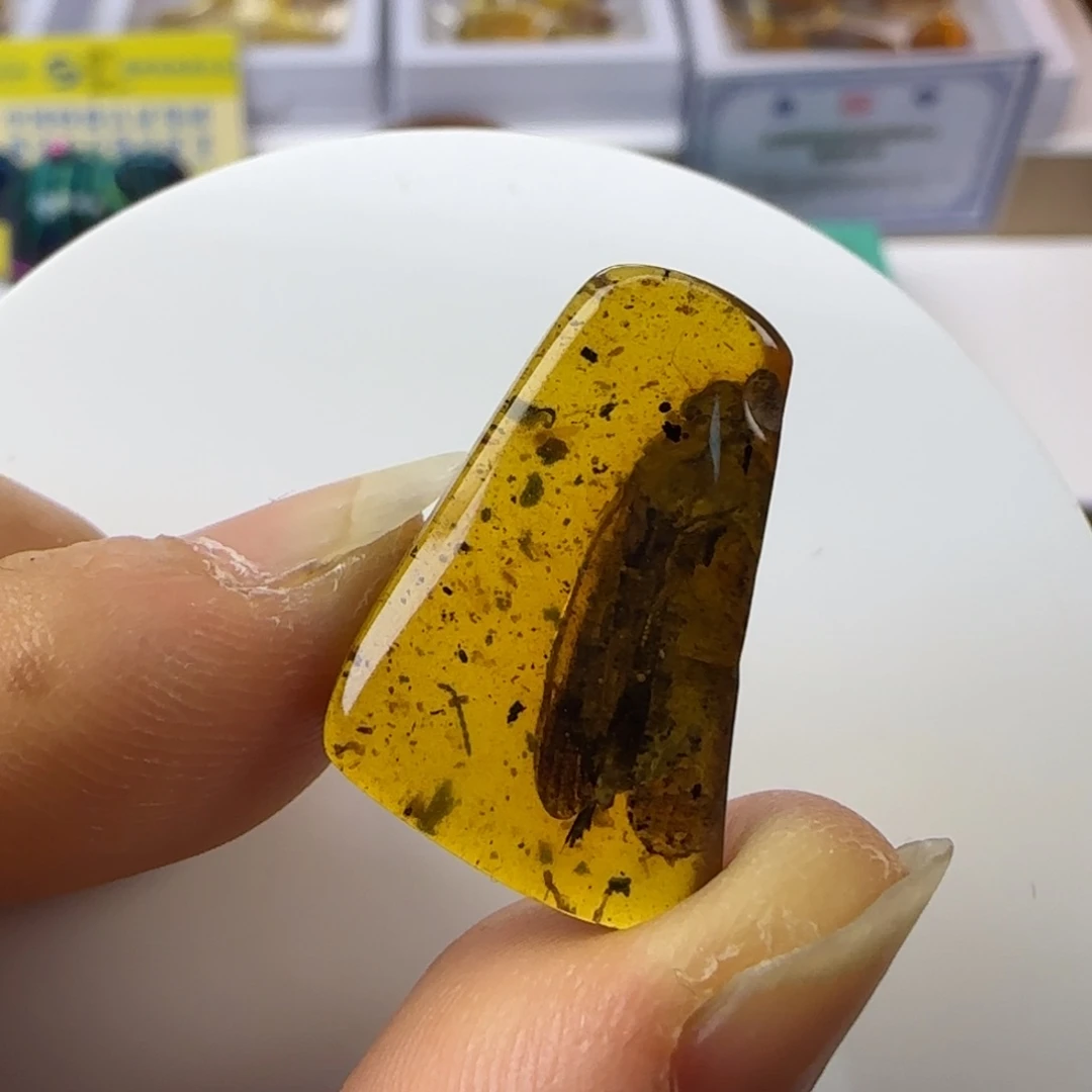 琥珀裸石未镶嵌y****9蝉